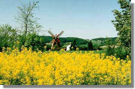 Windmühle in Bentorf