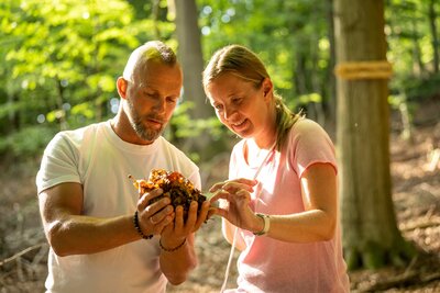 kalletal-waldbadenpfad_Foto TeutoburgerWaldTourismus, D