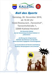 Sportlerball 2016