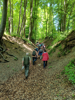 Wandernde Gruppe von hinten durch Hohlweg