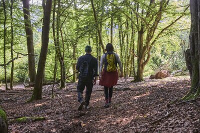 Pärchen von hinten wandernd durch den Wald